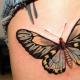 Какое имеют значение татуировки бабочка: смысл и интересные сведения